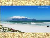Tafelberg - Table Mountain