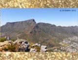 Table Mountain vom Lion's Head
